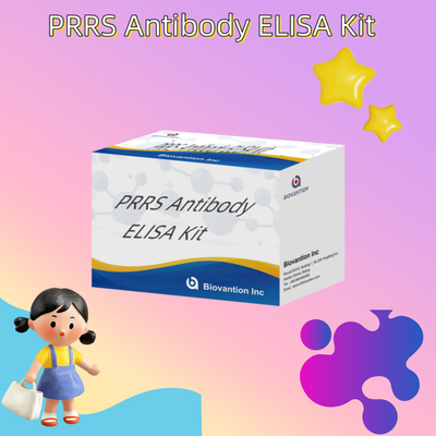 Prueba ELISA de anticuerpos animales contra el PRRSV Porcino contra el PRRS