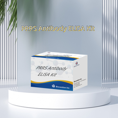 Prueba ELISA de anticuerpos animales contra el PRRSV Porcino contra el PRRS