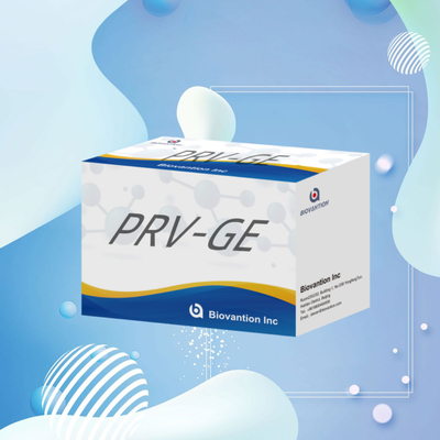 Prueba ELISA para el PRV-GB de animales Pseudorabias porcinas GB anticuerpos veterinarios Reactivos ivd