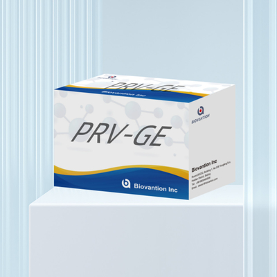 Prueba ELISA para el PRV-GB de animales Pseudorabias porcinas GB anticuerpos veterinarios Reactivos ivd
