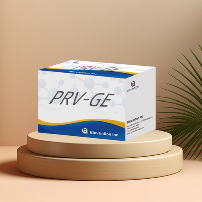Prueba ELISA para el PRV-GB de animales Pseudorabias porcinas GB anticuerpos veterinarios Reactivos ivd