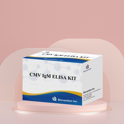 Biovantion CMV 18 meses de vida útil Kit de pruebas de plasma con suero IVD ELISA