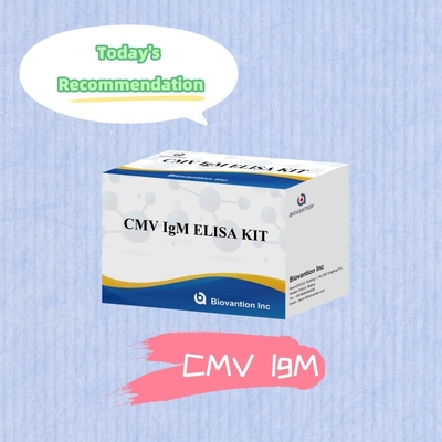 Biovantion CMV 18 meses de vida útil Kit de pruebas de plasma con suero IVD ELISA