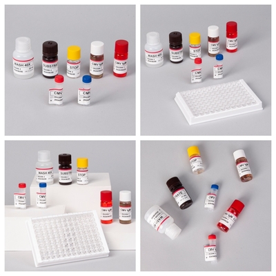Biovantion CMV 18 meses de vida útil Kit de pruebas de plasma con suero IVD ELISA
