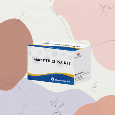 Kit de detección de PTH intacto para humanos Reactivo de detección para plasma sérico humano