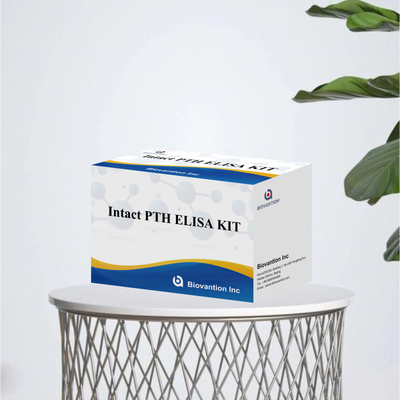 Kit de detección de PTH intacto para humanos Reactivo de detección para plasma sérico humano