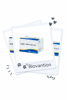 VCAM-1 RUO Kit Elisa Molécula de adhesión de células endotelial vascular humana 1