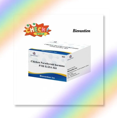 Kit de prueba de PTH ELISA Serum de inmunosorbente de hormona paratiroidea ligado a enzimas de pollo