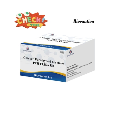 Kit de prueba de PTH ELISA Serum de inmunosorbente de hormona paratiroidea ligado a enzimas de pollo