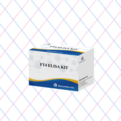 FT4 Kit Elisa con 95% de sensibilidad del reactivo de ensayo in vitro para uso humano