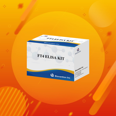 FT4 Kit Elisa con 95% de sensibilidad del reactivo de ensayo in vitro para uso humano