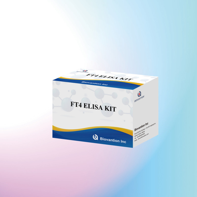 FT4 Kit Elisa con 95% de sensibilidad del reactivo de ensayo in vitro para uso humano