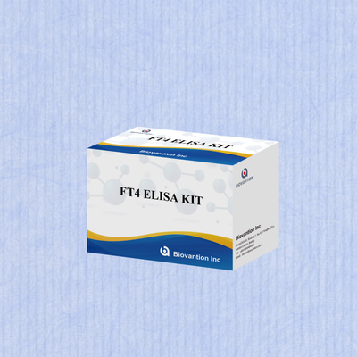 FT4 Kit Elisa con 95% de sensibilidad del reactivo de ensayo in vitro para uso humano