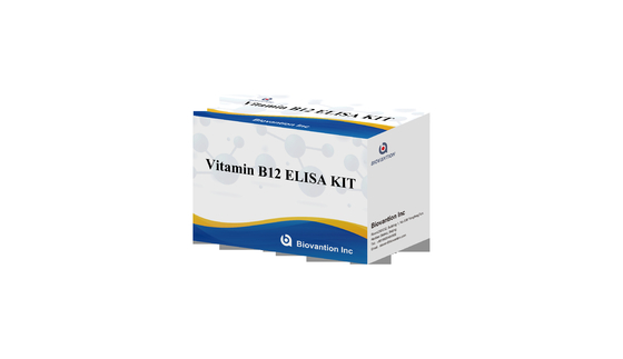 Kit de pruebas de vitamina B1 Elisa Prueba en animales de productos vinculados a enzimas