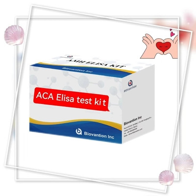 Anti ACA IgM Elisa Prueba en animales con 18 meses Especificidad de vida útil 2-3 horas