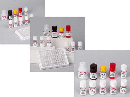 Laboratorio o hospital Kit de prueba de alta precisión de ferritina humana FE ELISA
