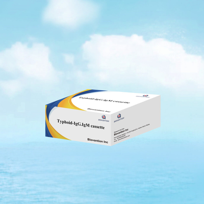 Venta caliente Tifus IgM IgG Para laboratorios Hospitales Tifus Fiebre de sangre Kit de prueba rápida