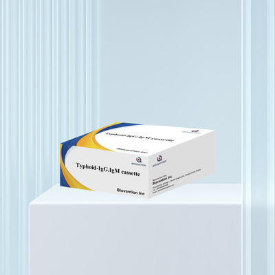 Venta caliente Tifus IgM IgG Para laboratorios Hospitales Tifus Fiebre de sangre Kit de prueba rápida