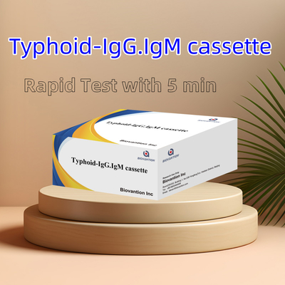 Venta caliente Tifus IgM IgG Para laboratorios Hospitales Tifus Fiebre de sangre Kit de prueba rápida