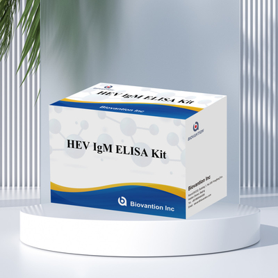 Kit de prueba Elisa HEV-IgM preciso y sensible para diagnóstico y análisis