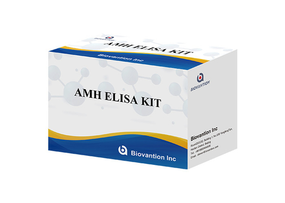 Hormona anti-mulleriana AMH Kit de prueba Elisa Para uso humano con plasma sérico