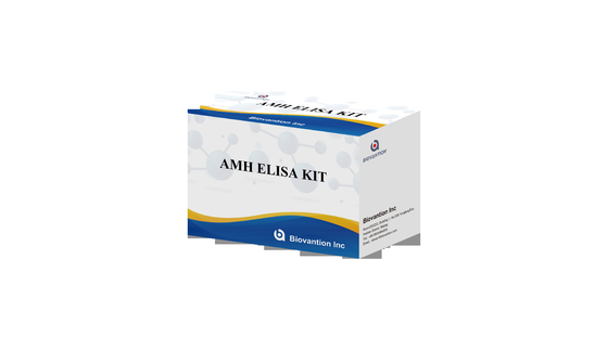 Hormona anti-mulleriana AMH Kit de prueba Elisa Para uso humano con plasma sérico