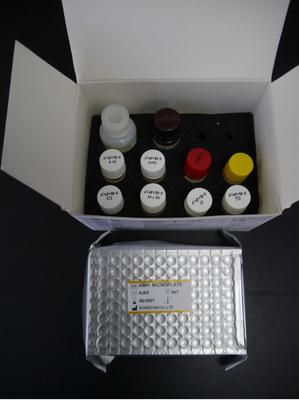 Hormona anti-mulleriana AMH Kit de prueba Elisa Para uso humano con plasma sérico