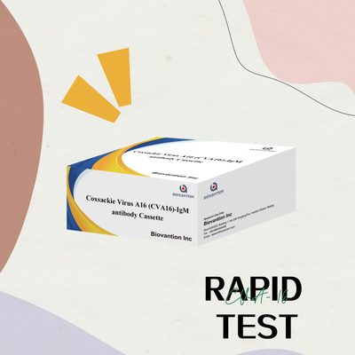 Reactivo de diagnóstico IVD CVA16 Virus de Coxsackie A16 CVA16-IgM Anticorpos en casete WB/S/P Prueba rápida de oro coloidal