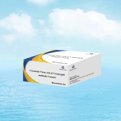 Reactivo de diagnóstico IVD CVA16 Virus de Coxsackie A16 CVA16-IgM Anticorpos en casete WB/S/P Prueba rápida de oro coloidal