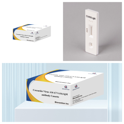Reactivo de diagnóstico IVD CVA16 Virus de Coxsackie A16 CVA16-IgM Anticorpos en casete WB/S/P Prueba rápida de oro coloidal