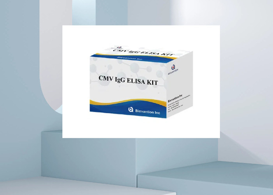 Kit de prueba de CMV IgG Elisa Kit de diagnóstico de ELISA IgG Anticorpos contra el citomegalovirus