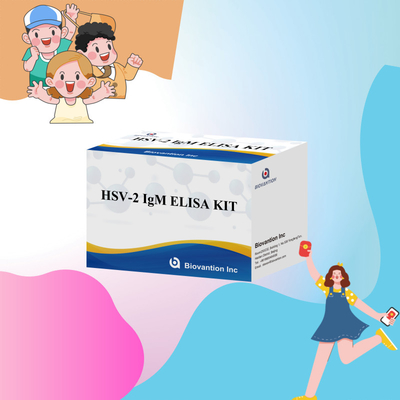 Kit de prueba Elisa de alta especificidad para IgM HSV-2 para resultados rápidos y precisos
