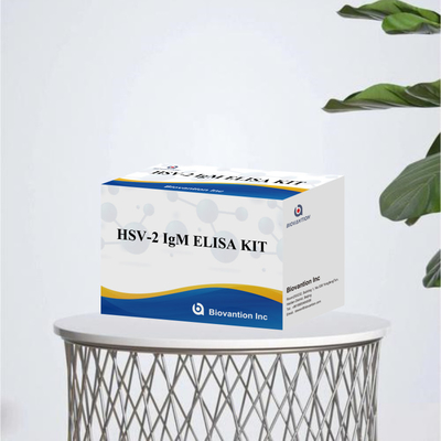 Kit de prueba Elisa de alta especificidad para IgM HSV-2 para resultados rápidos y precisos