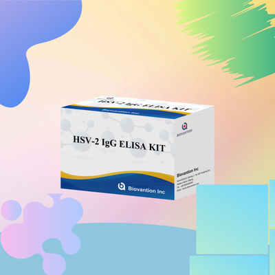 Reactivo de diagnóstico de IgG para el VHS-2 aplicable a nivel internacional 96 pruebas ELISA Kit de análisis para diagnóstico médico