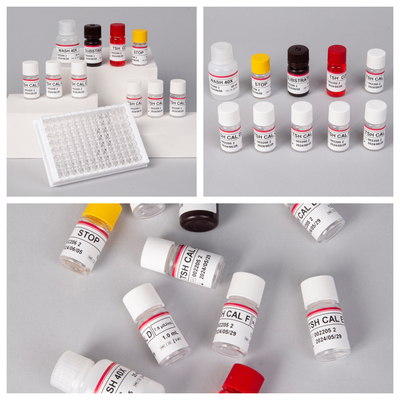 Especificidad de 1 hora Biovanción IVD Kit de prueba Elisa para muestra de plasma sérico