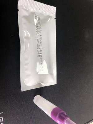 Cassette de prueba rápida de Salmonella IgG/IgM S.Tifoide Kit de prueba de diagnóstico fácil de usar