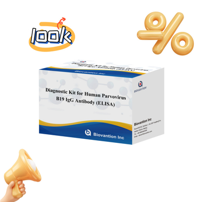 Kit de prueba de ELISA B19 para el parvovirus humano B19 IgM Kit de prueba de anticuerpos Elisa con 96T