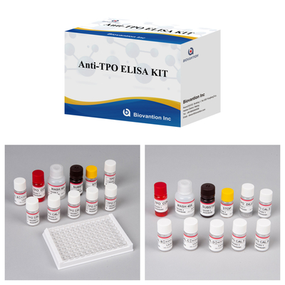 Kit de diagnóstico para humanosAnti-TPO para hospital y laboratorio con 96 pruebas