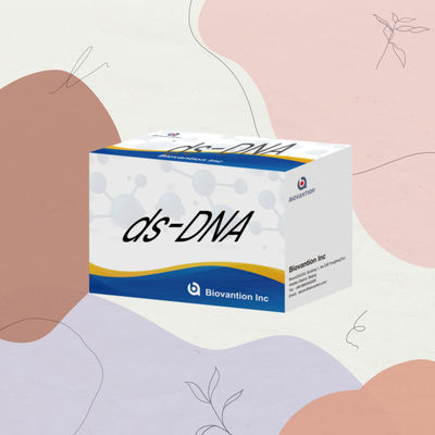 Reactivo de diagnóstico humano Anticorpos IgG a ADN de doble hebra Ds-ADN Prueba IVD Prueba rápida con 96 pruebas para uso hospitalario