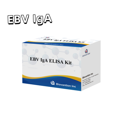 Kit de prueba ELISA HUMANO para el EBV 2-8°C Kit de diagnóstico de sensibilidad para anticuerpos IgA contra el EBV-EA