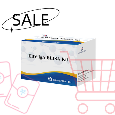 Kit de prueba ELISA HUMANO para el EBV 2-8°C Kit de diagnóstico de sensibilidad para anticuerpos IgA contra el EBV-EA