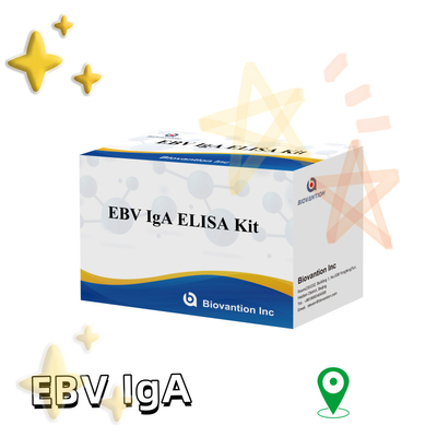 Kit de prueba ELISA HUMANO para el EBV 2-8°C Kit de diagnóstico de sensibilidad para anticuerpos IgA contra el EBV-EA