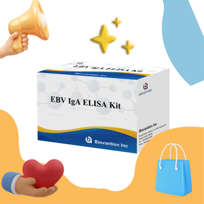 Kit de prueba ELISA HUMANO para el EBV 2-8°C Kit de diagnóstico de sensibilidad para anticuerpos IgA contra el EBV-EA