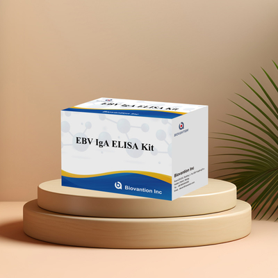 Kit de prueba ELISA HUMANO para el EBV 2-8°C Kit de diagnóstico de sensibilidad para anticuerpos IgA contra el EBV-EA