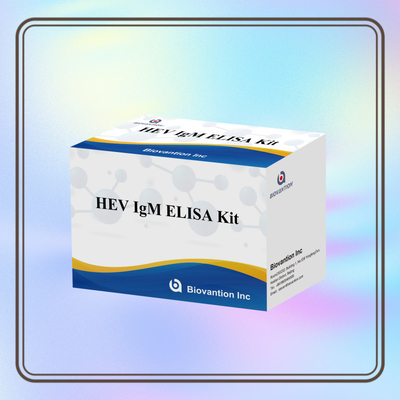 Kit de prueba Elisa HEV-IgM preciso y sensible para detección y análisis precisos