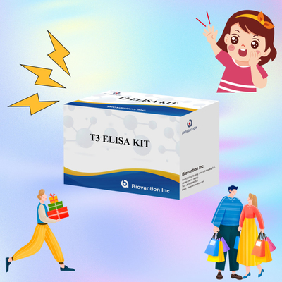Kit de ensayo Elisa de alta sensibilidad y especificidad para la detección cuantitativa de T3 en suero humano con un tiempo de ensayo corto