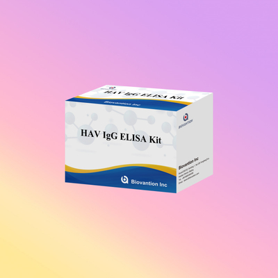 Alta sensibilidad HAV IgG Kit ELISA Exacto Hepatitis A Detección del virus Confiable Certificado CE para uso clínico y de investigación