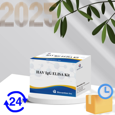 Alta sensibilidad HAV IgG Kit ELISA Exacto Hepatitis A Detección del virus Confiable Certificado CE para uso clínico y de investigación