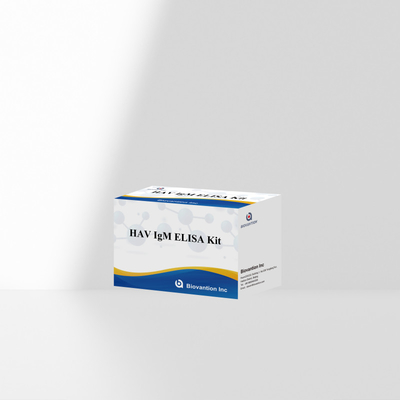 HAV IgM ELISA Kit Alta sensibilidad Hepatitis A Detección de virus Prueba de diagnóstico precisa y confiable para laboratorios clínicos