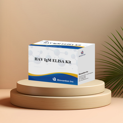 HAV IgM ELISA Kit Alta sensibilidad Hepatitis A Detección de virus Prueba de diagnóstico precisa y confiable para laboratorios clínicos